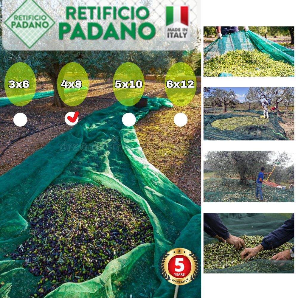 FILET DE RÉCOLTE D'OLIVES PADANO(FARCHA ZITOUN )4X8